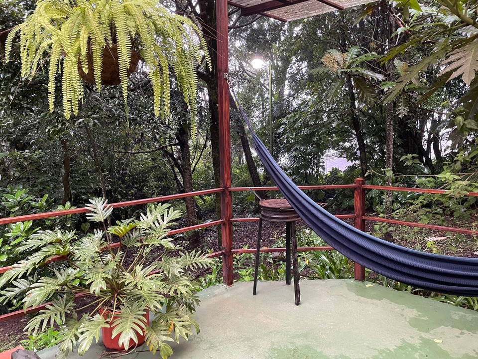 Costa Rica -  - Angekommen ✔️ 🌱 

Der restliche Tag wurde primär zum Ausruhen genutzt 📖 …