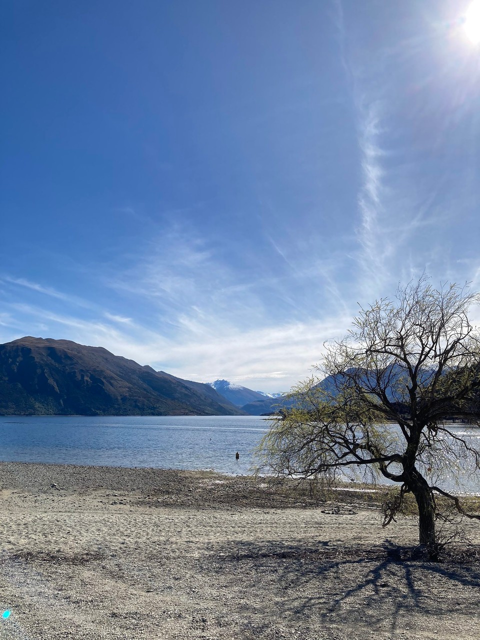Neuseeland - Wanaka - Es ist nicht „der“ Wanaka Baum, aber trotzdem recht schön anzuschauen 😀