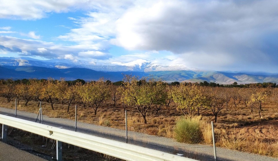 Spanien - Guadix - Schnee im Hintergrund und vorne Obstplantagen