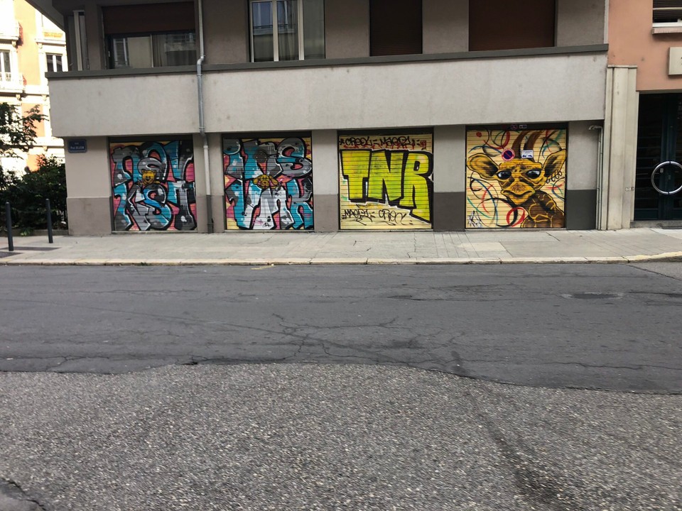 Frankreich - Grenoble - 