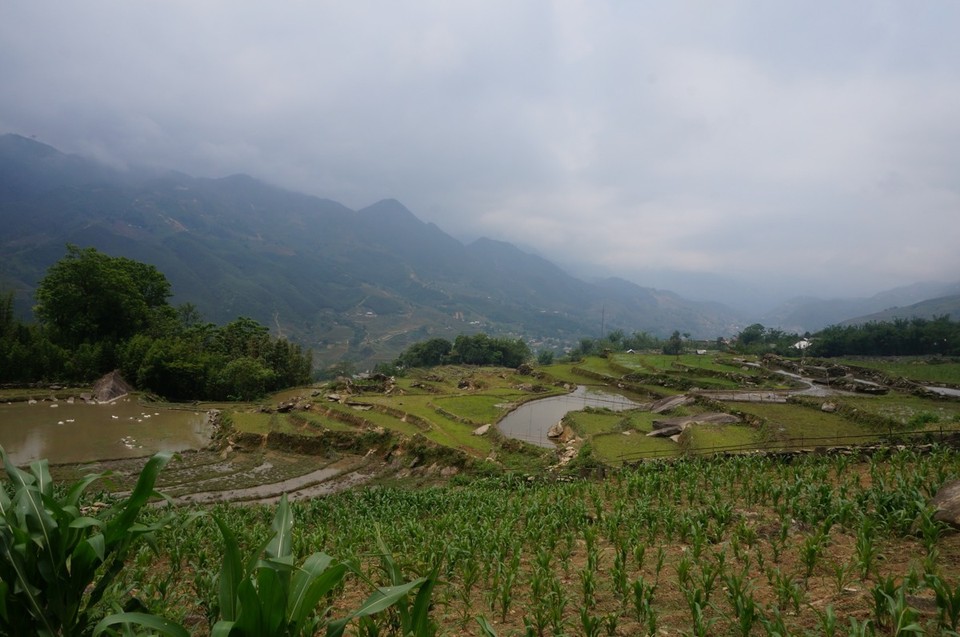 Vietnam -  - 
