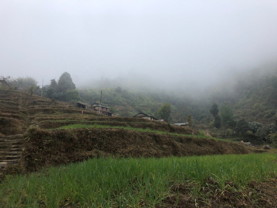 Nepal - Panchase - In den Wolken 