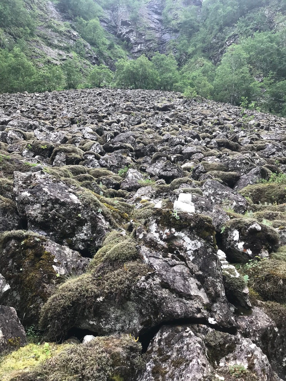 Norwegen - Gudvangen - 