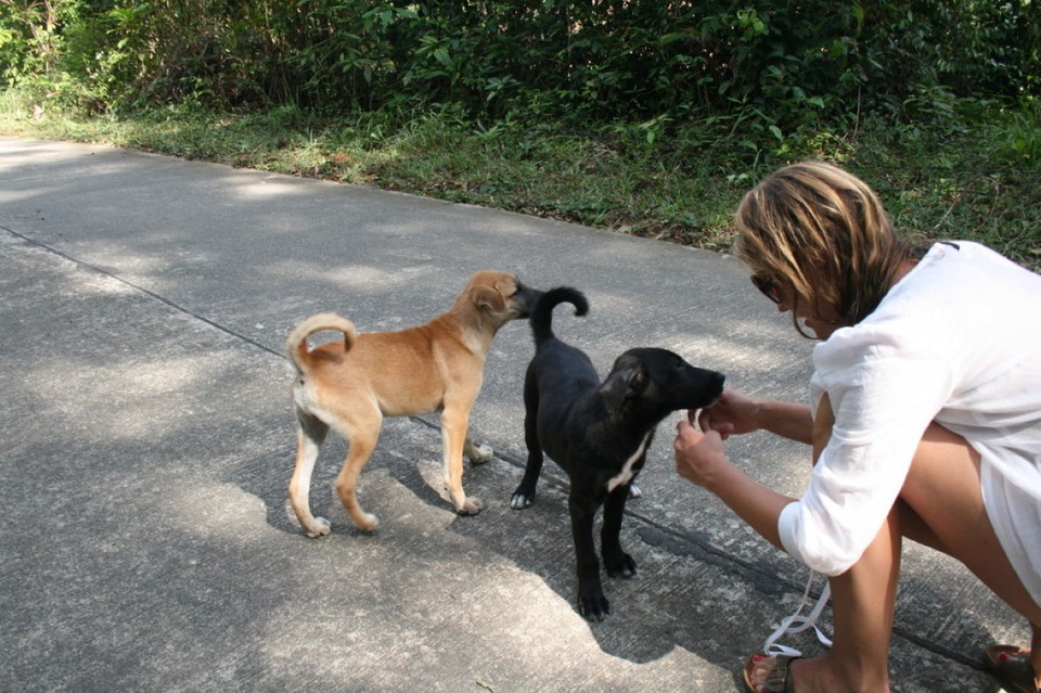 Thailand - Ko Kut - 