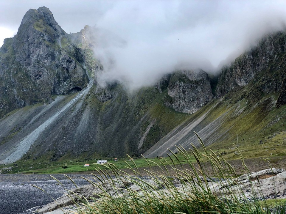 Island - Sveitarfélagið Hornafjörður - Fangen wir mal hier mit den Gräsern an...