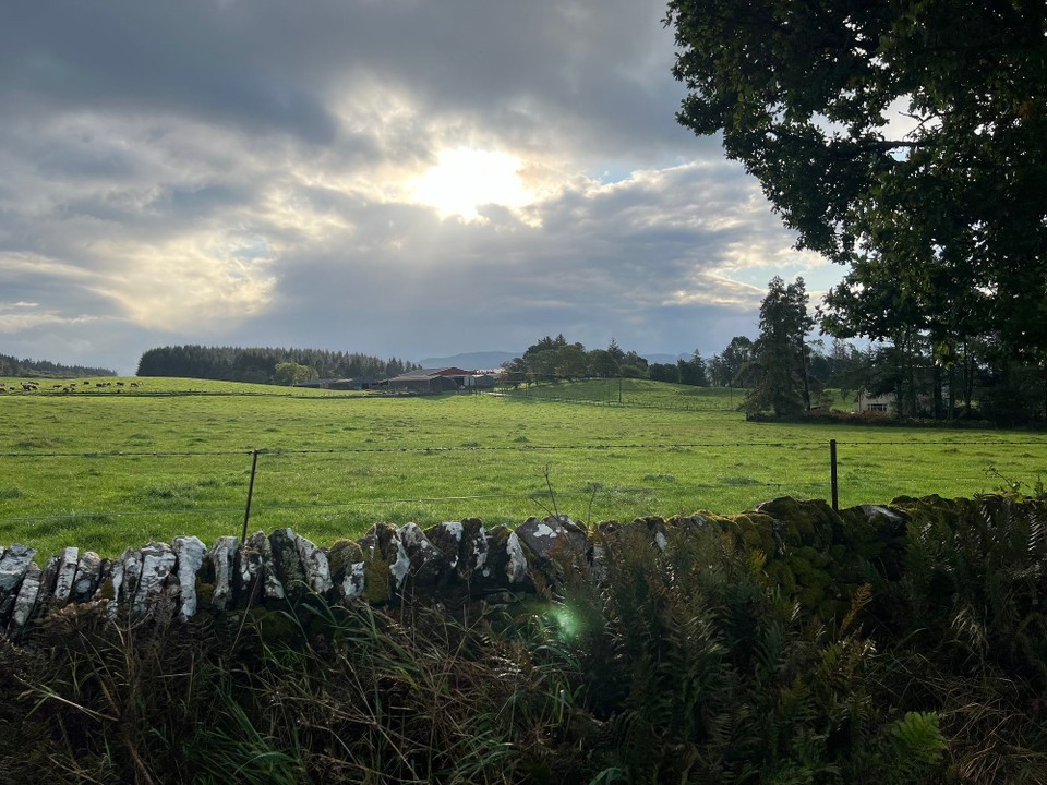 Vereinigtes Königreich - Glasgow - 