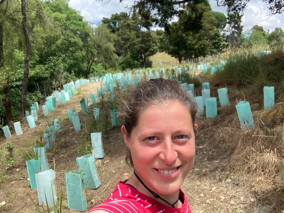 Neuseeland - Brightwater - 