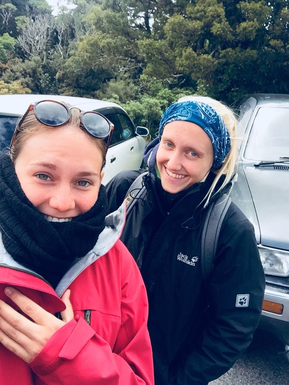  - Neuseeland, Mount Taranaki, Kapuni Loop Track - 