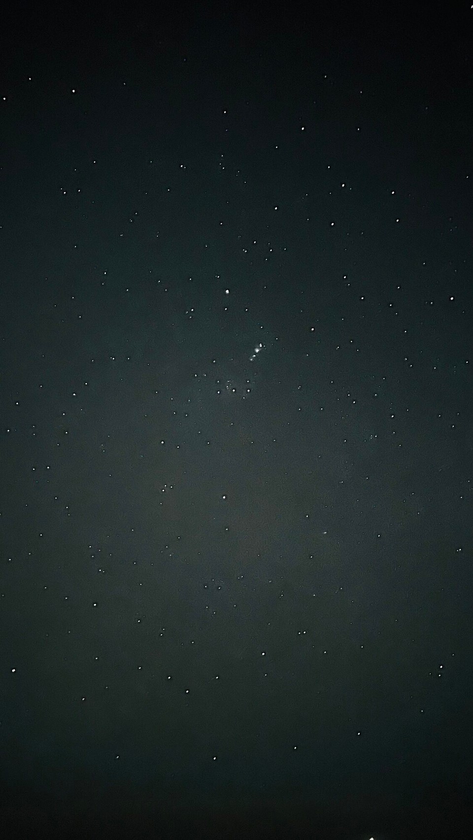 New Zealand - Orewa - 