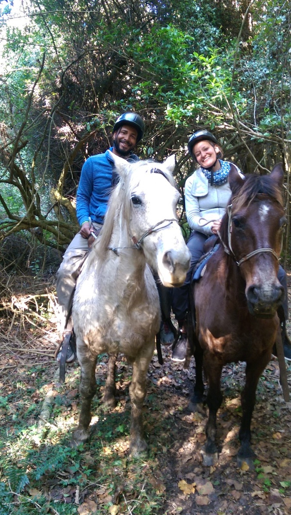 Südafrika - Knysna - Yeah!
Ausritt in den Wäldern. Die Ranch war genauso wie man sich es vorstellt. Gemanaged wird die Ranch von einer rüstigen älteren super netten Dame.