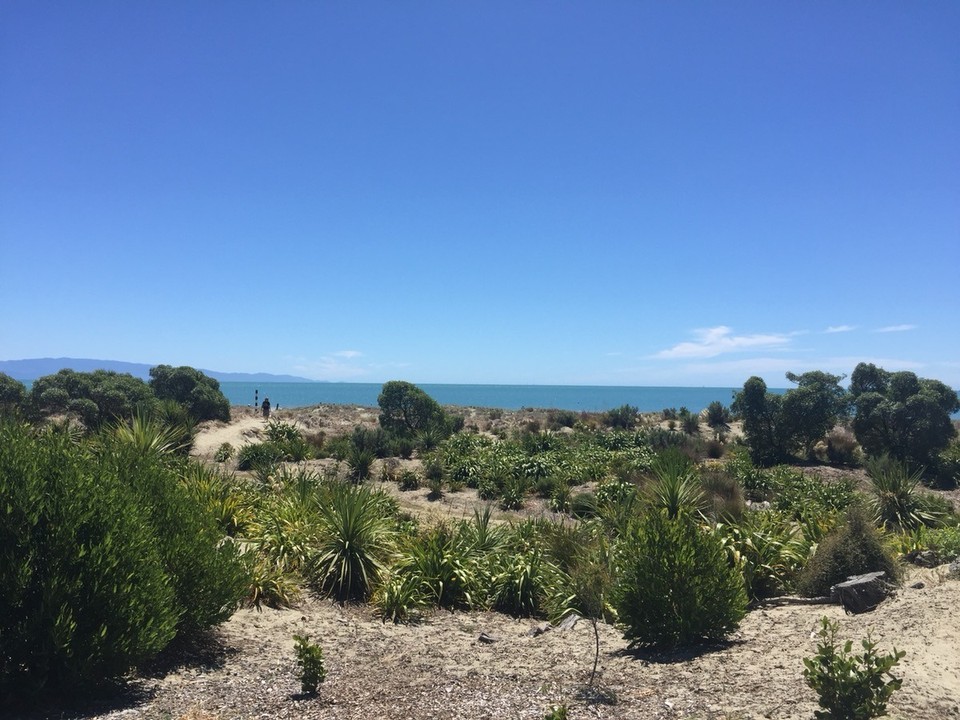  - Neuseeland, Tahunanui, Tahunanui Beach - 