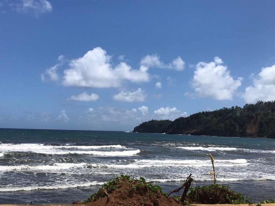 Dominica -  - 