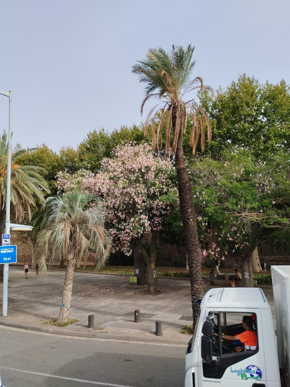 Spanien - Barcelona - 