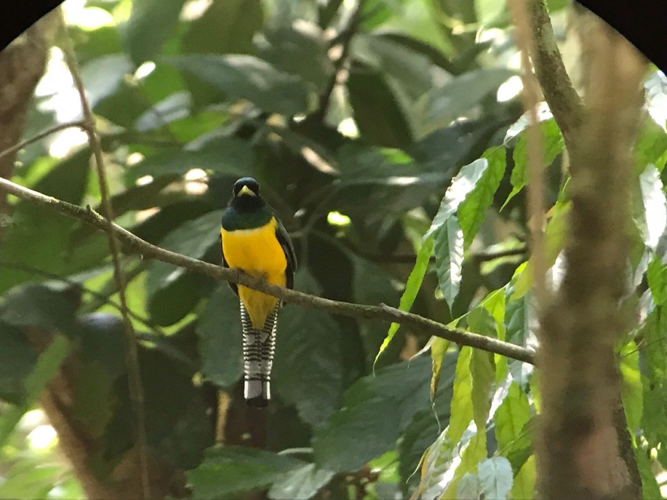 Costa Rica - Golfito - 