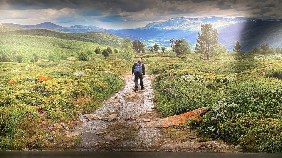 Norwegen - Ringebu - Rondane Nasionalpark 
... so hätte es sein können