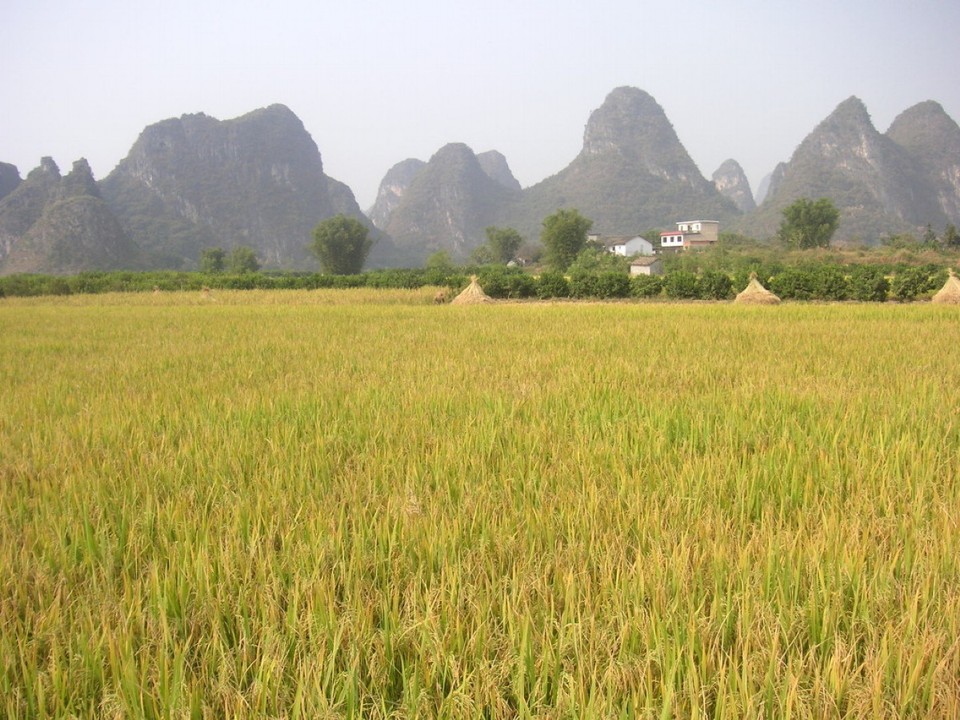 China - Guilin - 