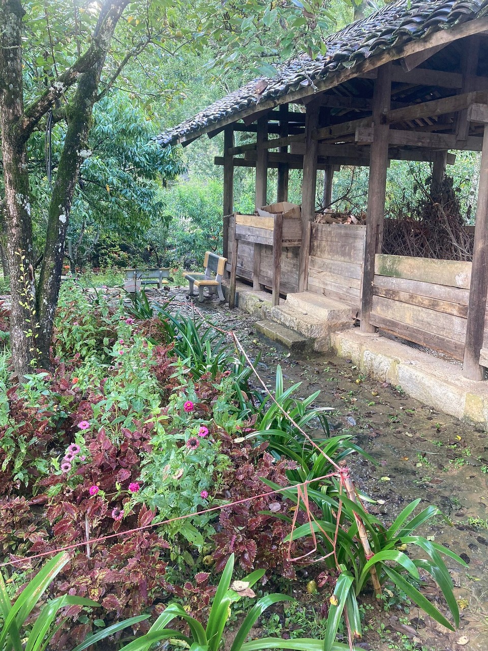 Vietnam - Dong Van - 