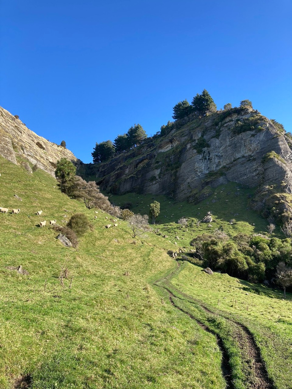 Neuseeland - Napier - Auf zu den Shine Falls - ist ja schließlich Sonntag, muss auch ein Wasserfall dabei sein 🤪