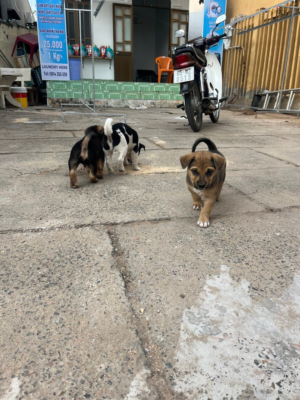 Vietnam - Phan Thiet - 