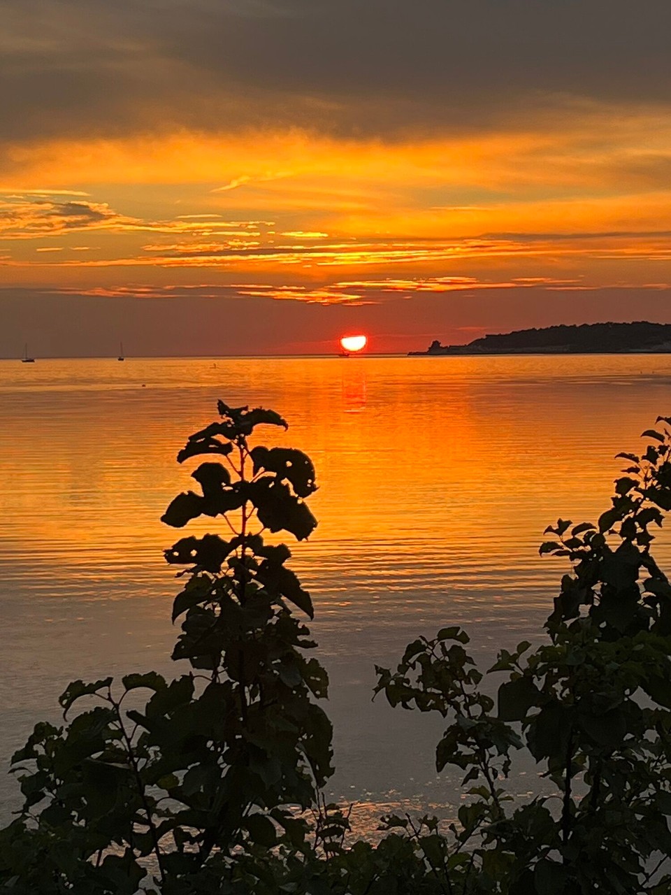 Kroatien - Novigrad - 