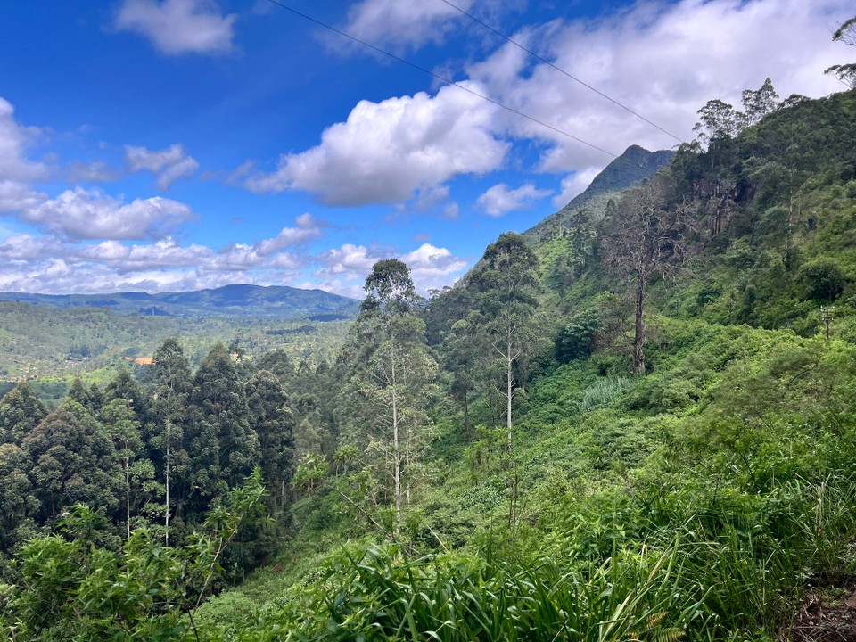 Sri Lanka -  - 