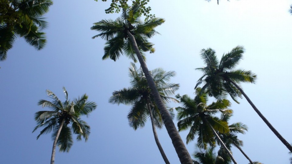 Indien - Agonda Beach - 