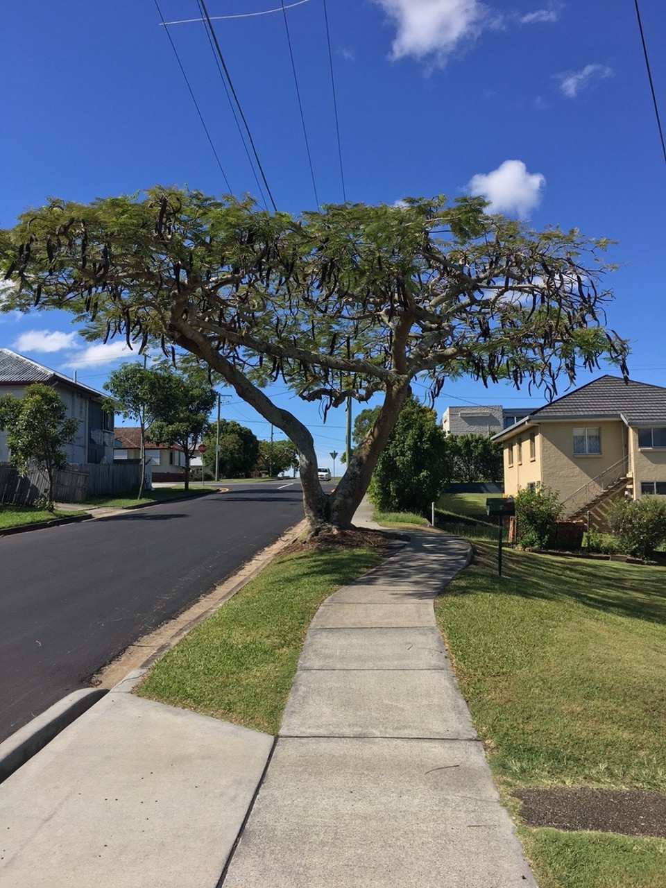 Australien - Upper Mount Gravatt - 