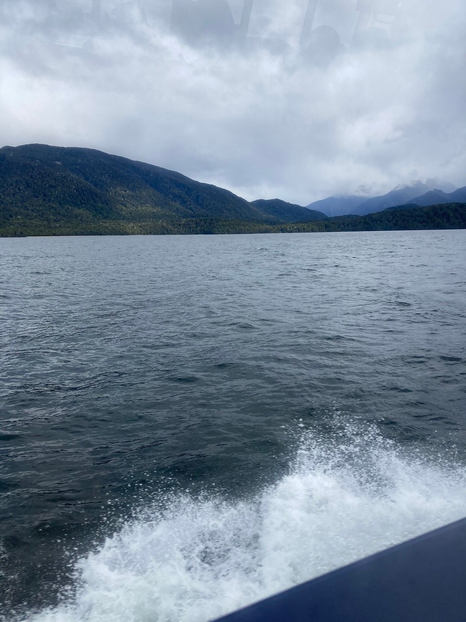 Neuseeland - Fiordland National Park - Zack mal wieder an Bord gehüpft