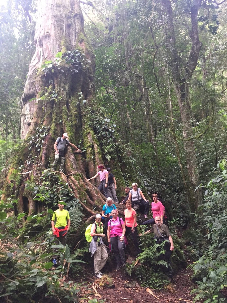 Panama - Boquete - 