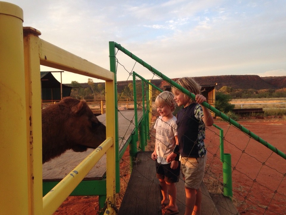 Australia - Petermann - 