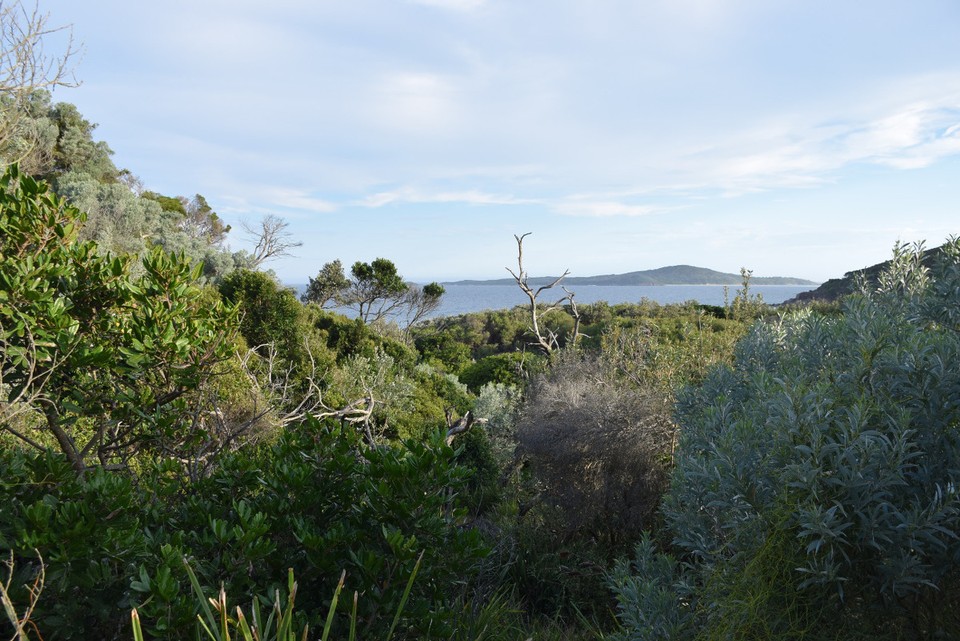 Australien - Newcastle - 