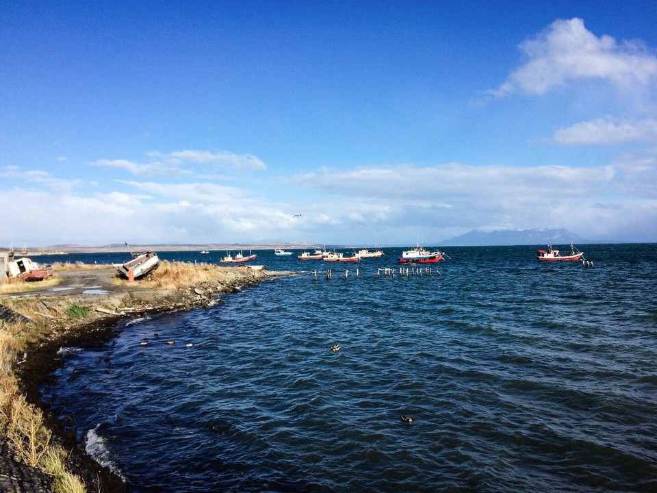 Chile - Puerto Natales - 
