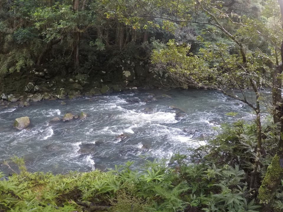 Neuseeland - Kerikeri - 