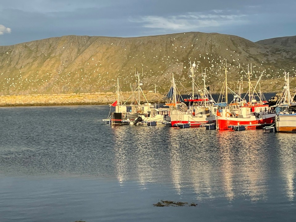 Norwegen - Skarsvåg - Abends am Stellplatz…