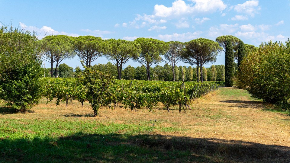 Italien - Lucca - 