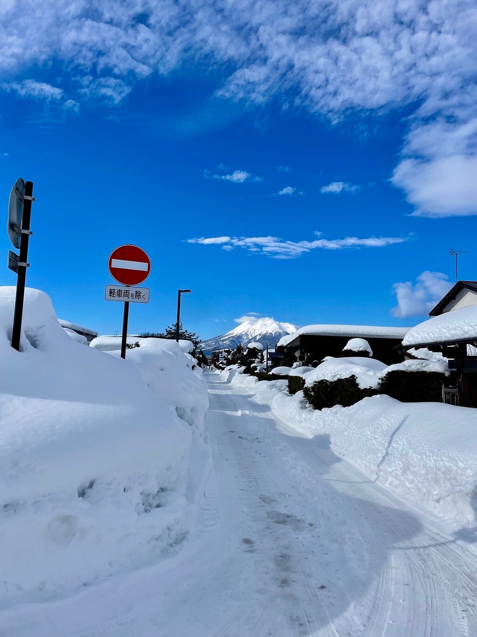 Japan - Hirosaki - 