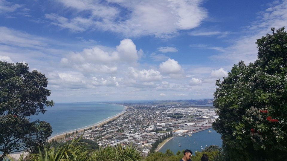 Neuseeland - Tauranga - Die Sicht über Tauranga von der Spitze des Berges aus.