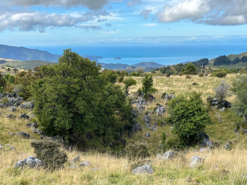 Neuseeland - Abel Tasman National Park - 