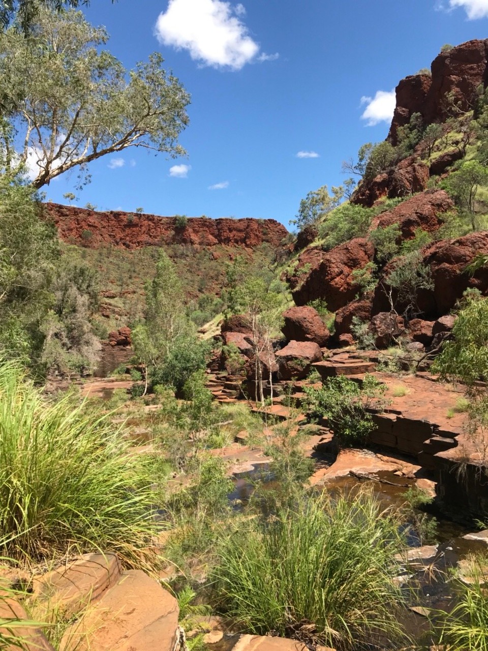Australien -  - 