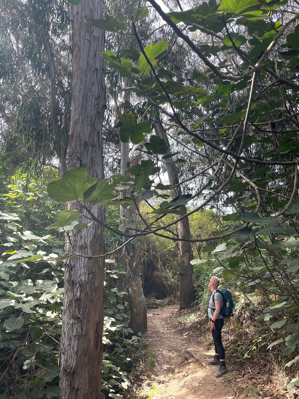 Portugal - São Teotónio - 