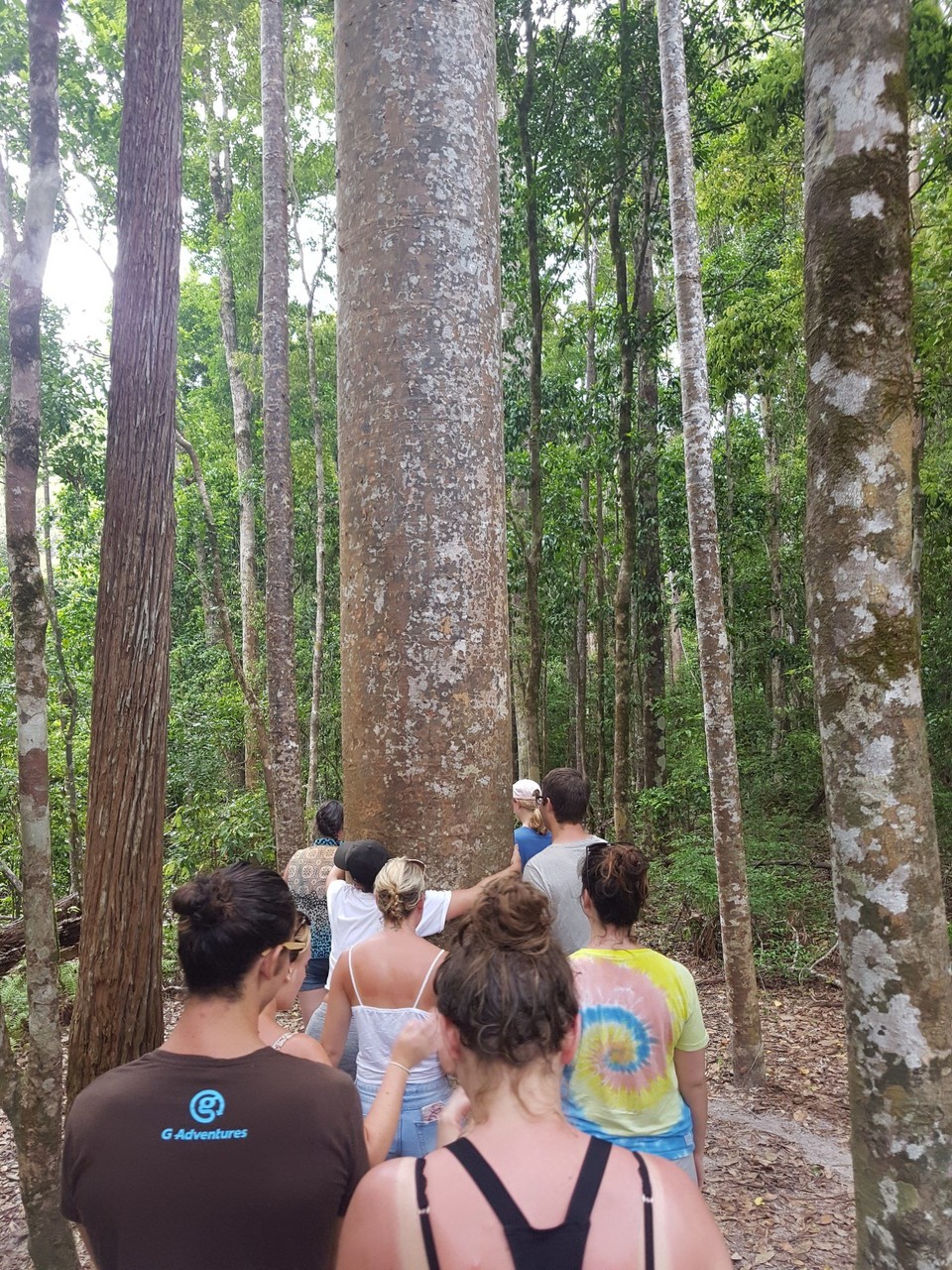 Australia - Fraser Island - 