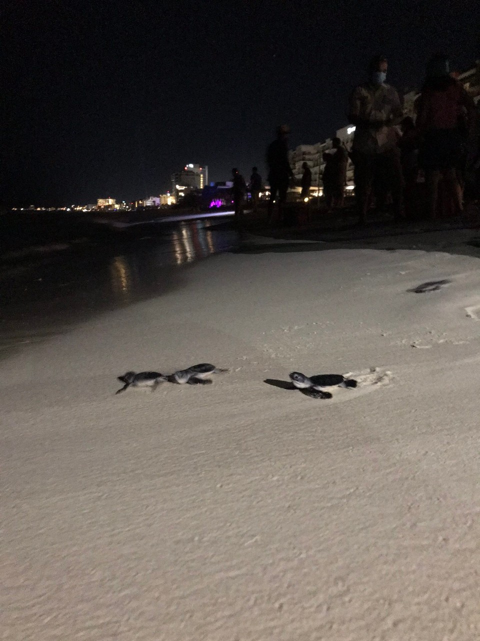 Mexiko - Cancún - Auf in das grosse Meer