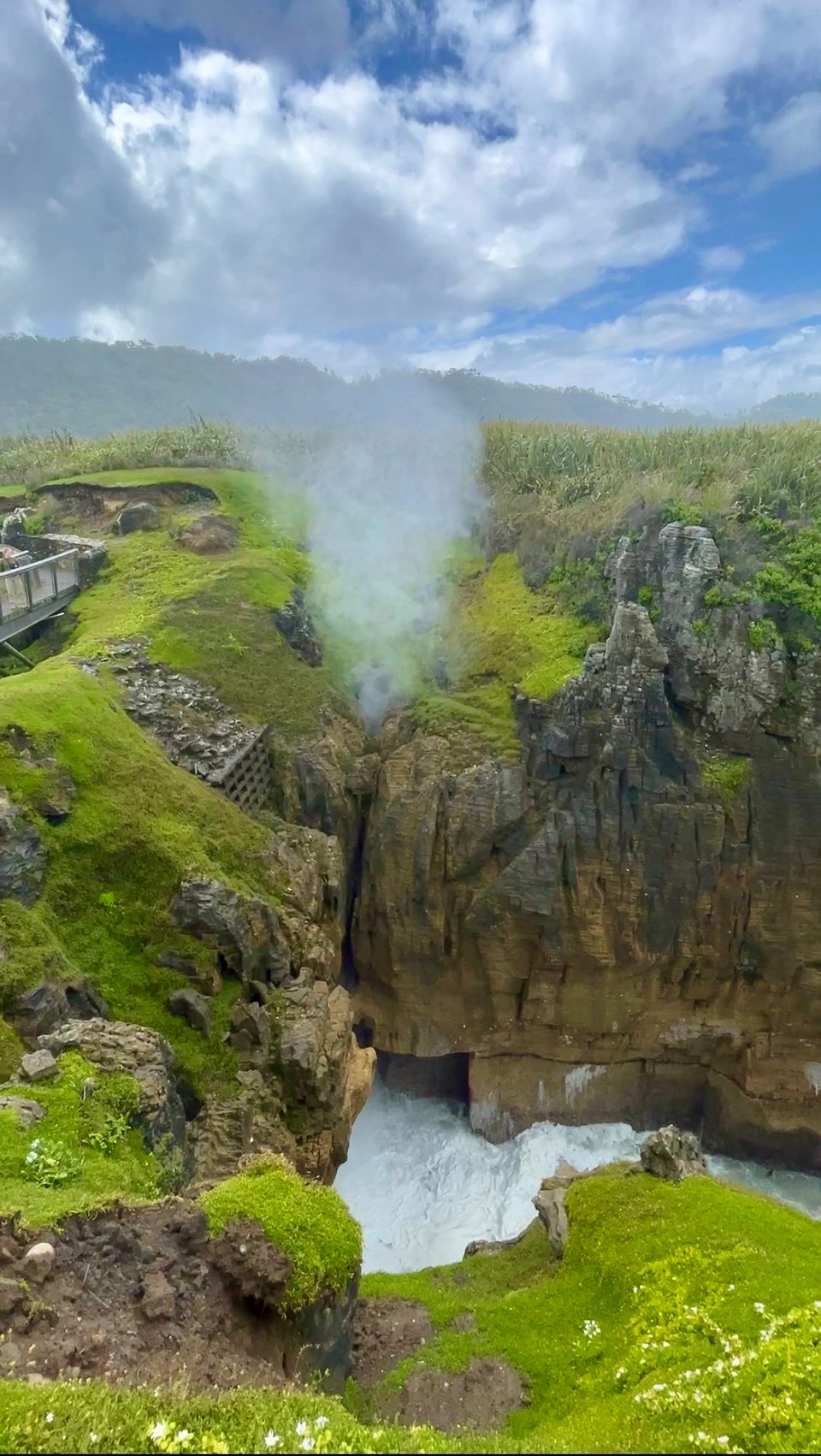 Neuseeland - Kap Foulwind - 