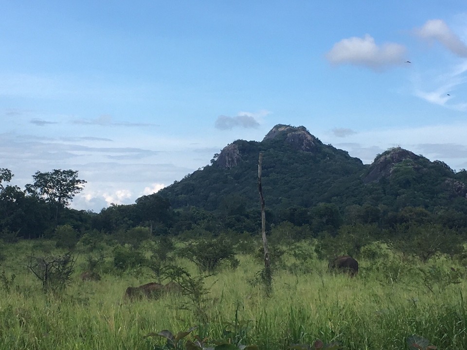 Sri Lanka -  - 