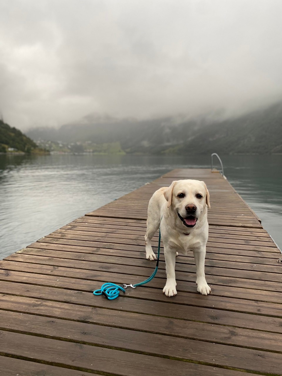Norwegen - Geiranger - Und Scanner ist wiedermal The „Bootsmann“
