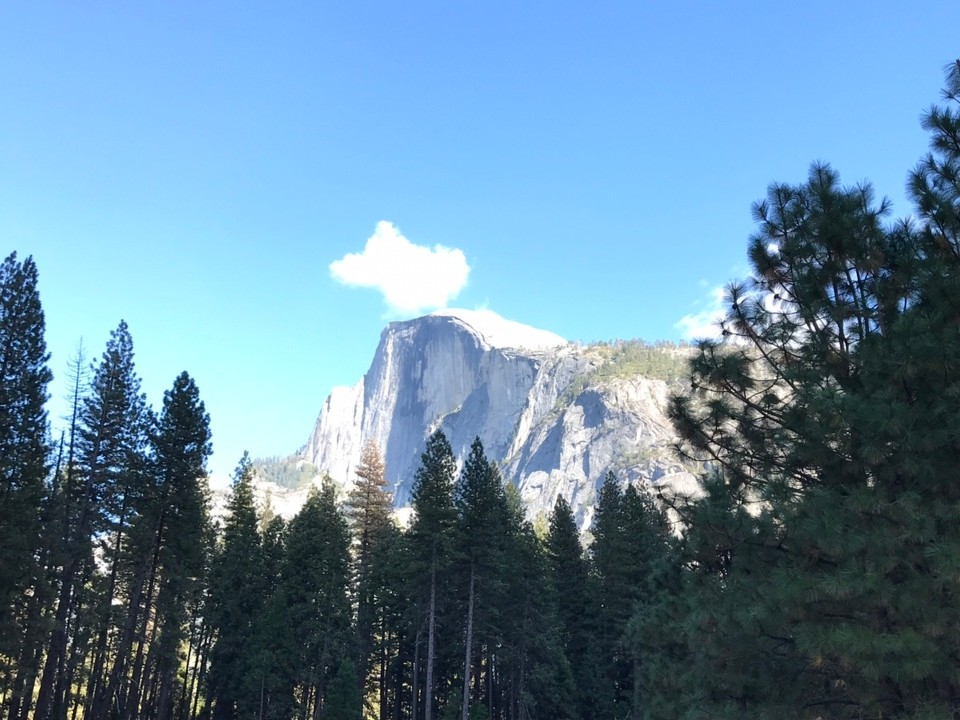 USA - Yosemite-Nationalpark - 