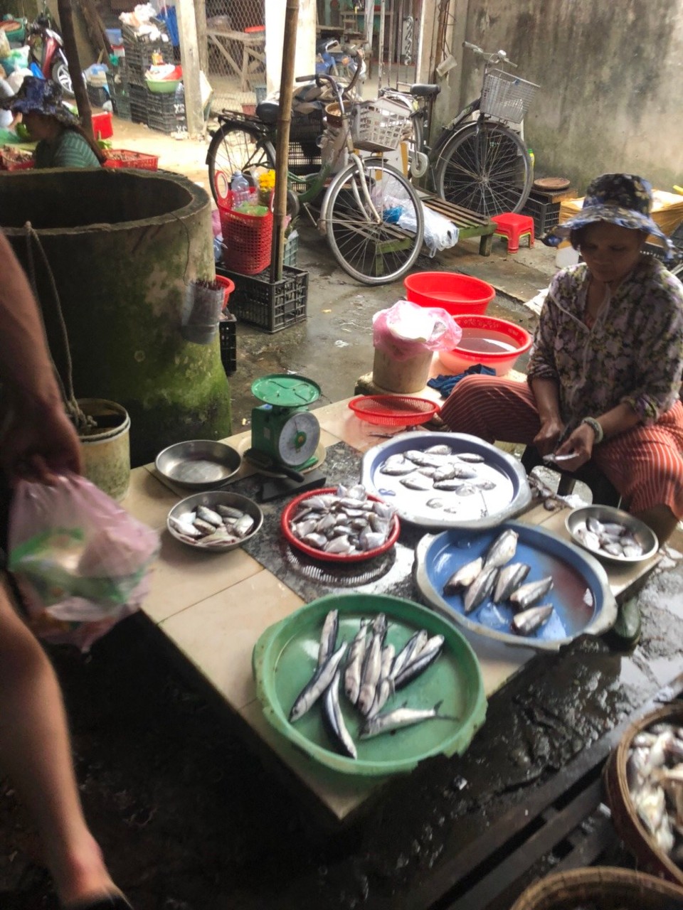 Vietnam - Hội An - Über frischen Thunfisch bis hin zum Hundeschenkel gibt es hier alles...