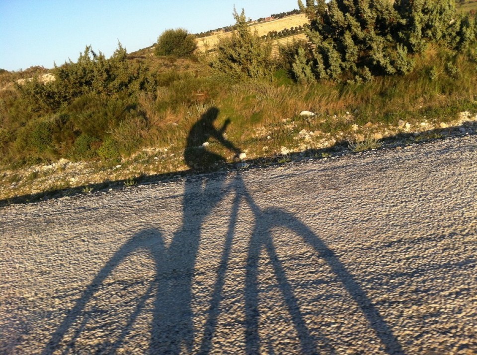 Turkey - Çeşme - Fahrt durch Weinberge