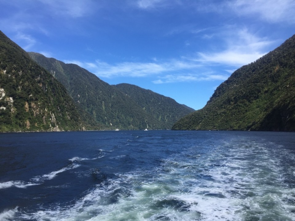 Neuseeland - Milford Sound - 