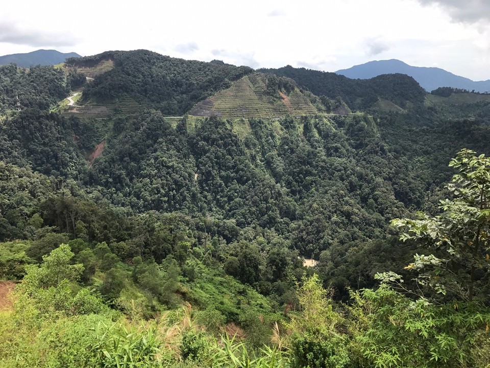 Malaysia - Tanah Rata - 